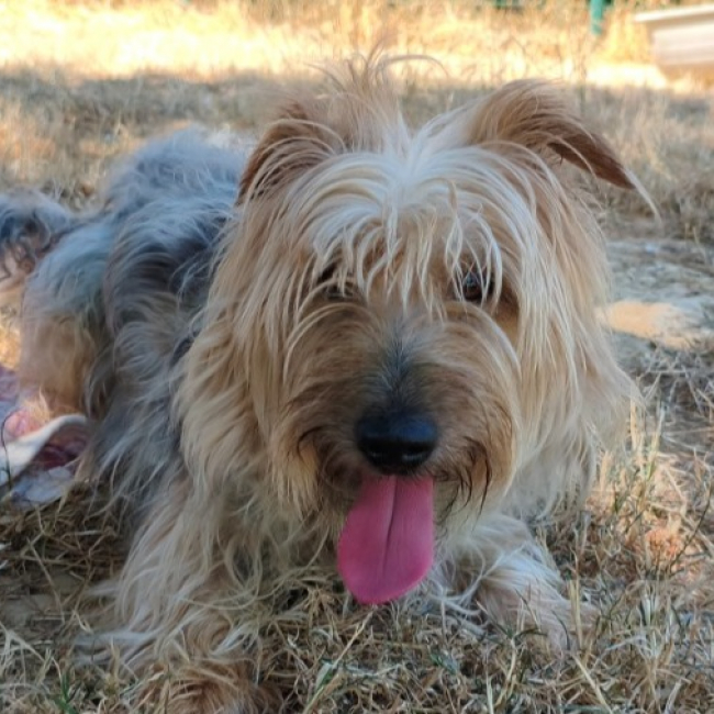 Bobby