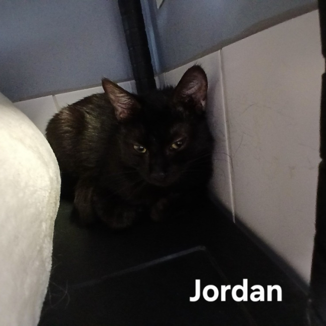Jordan