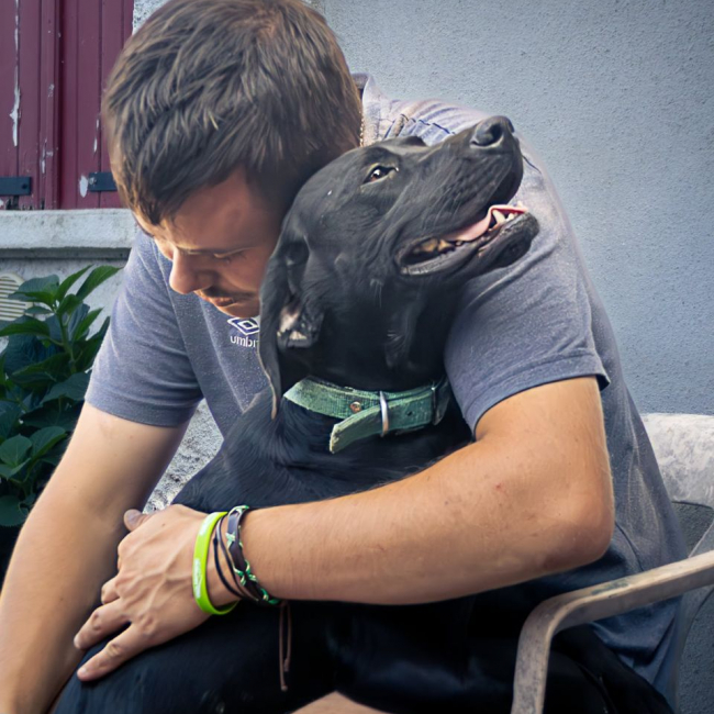 Tobby - Chien à adopter