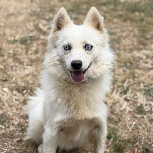 Lilou