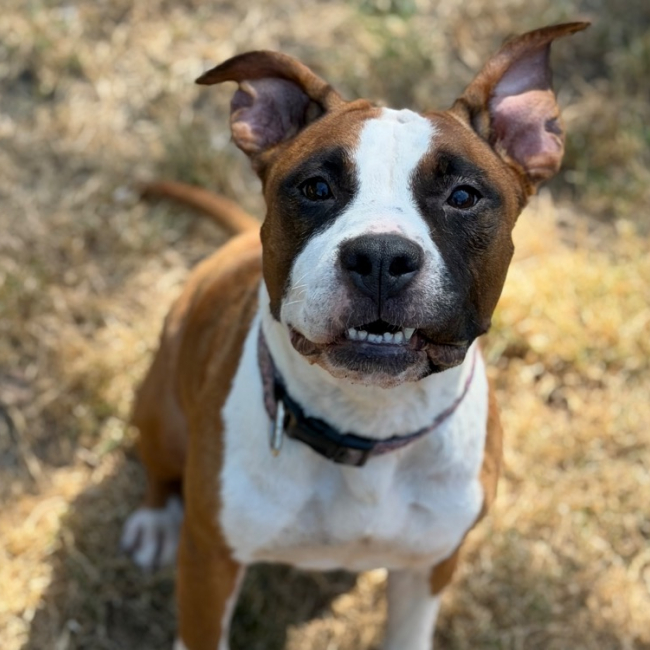 Ruby
