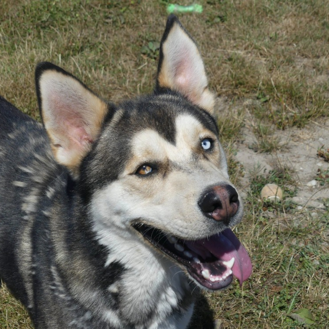 Kendji
