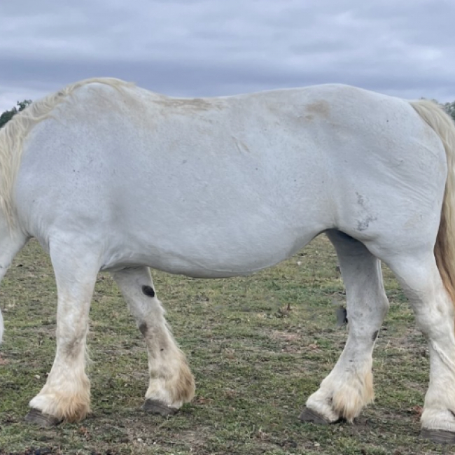 Soumise