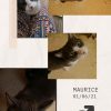 Maurice