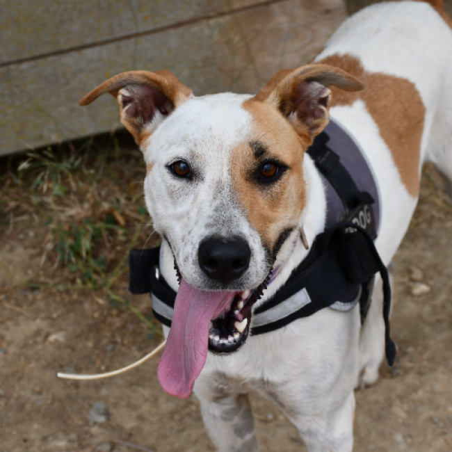 Oslo