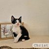 Christiana