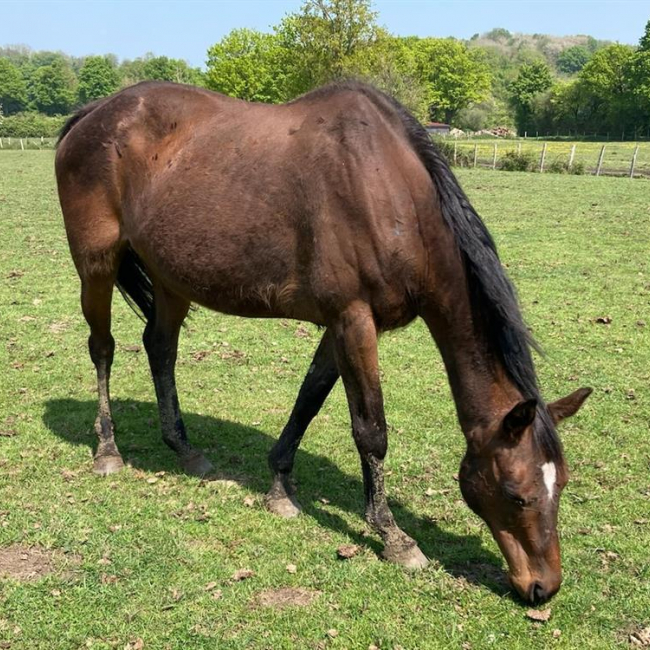 Tornade de mun