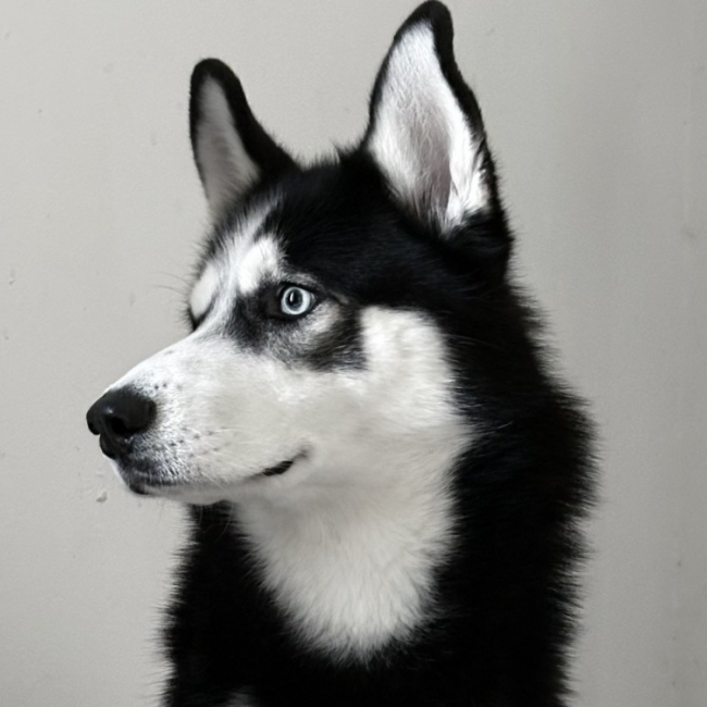 Yuki
