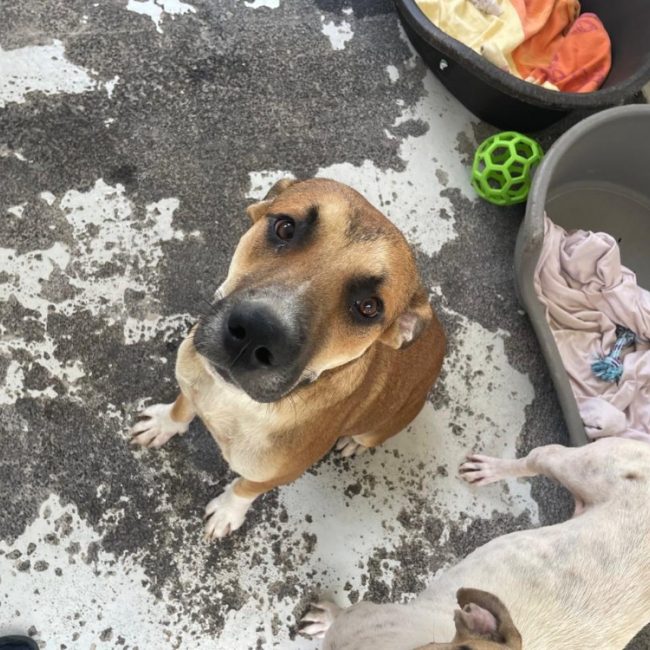 Max