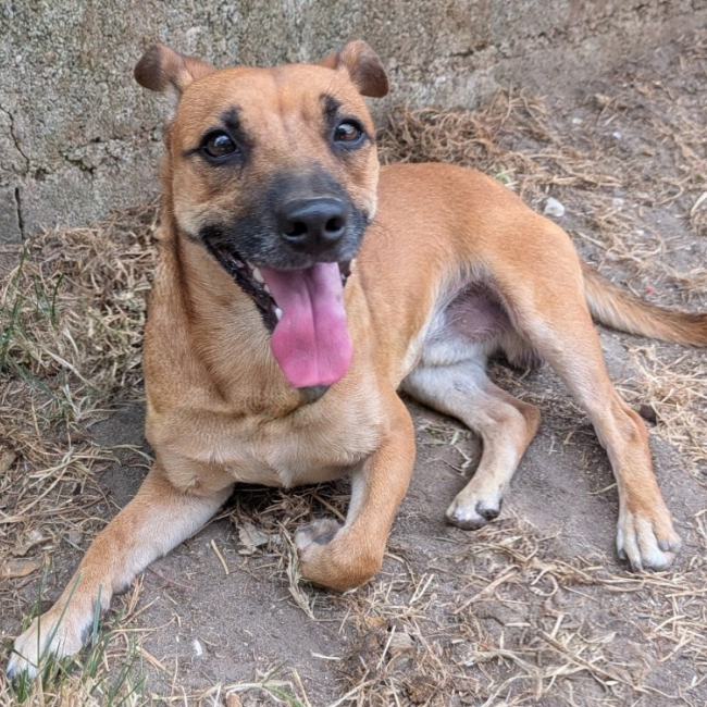 Titus