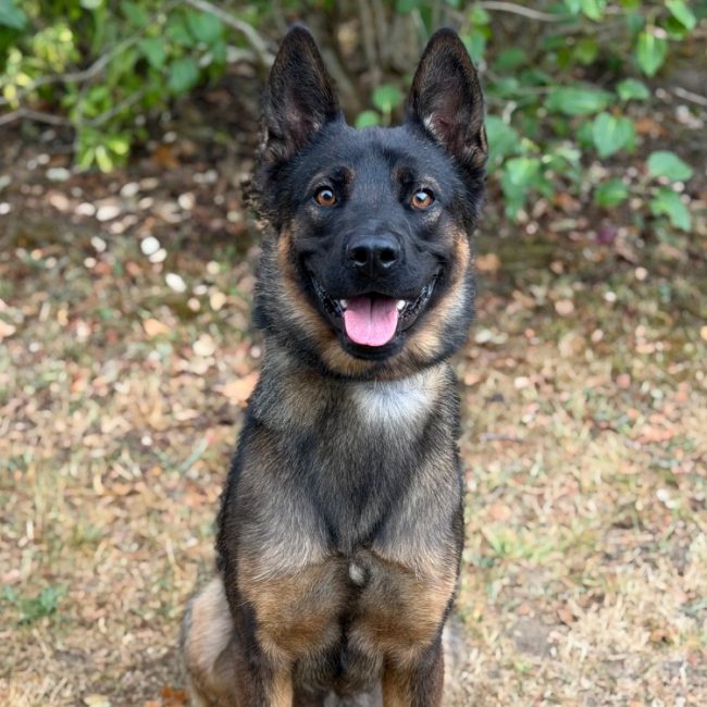 Max