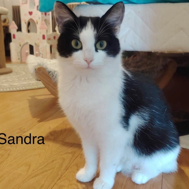 Sandra