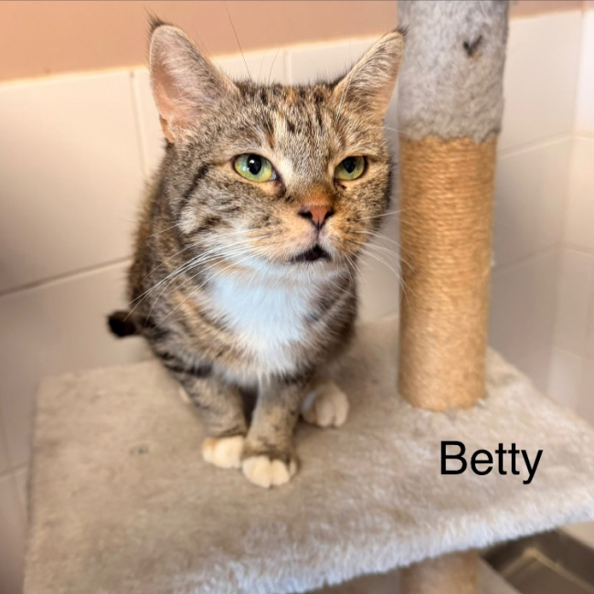 Betty