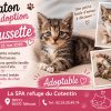 Chaussette réservé
