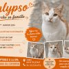 Calypso