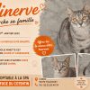 Minerve