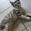 Max