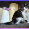 Minato