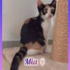 Mia