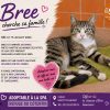 Bree