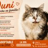 Ouni