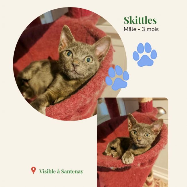 Skittles
