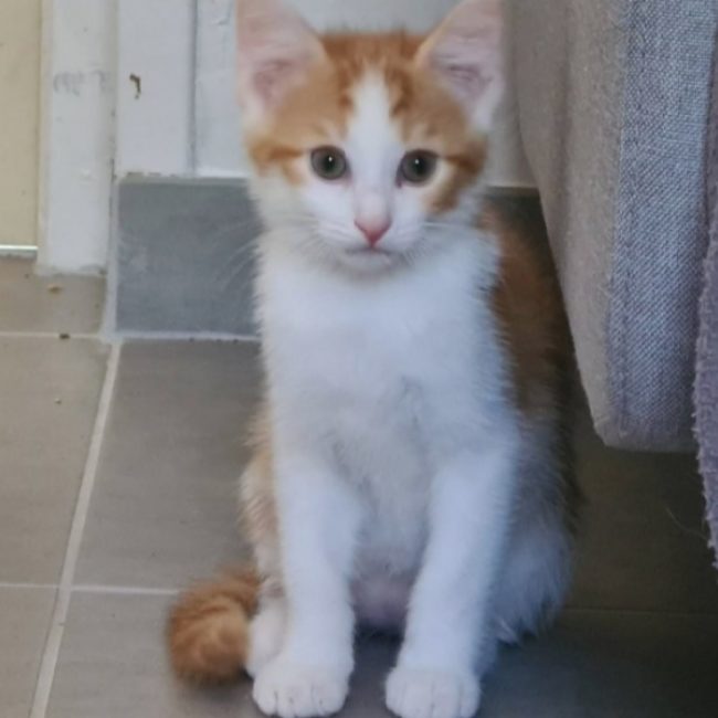 Ben