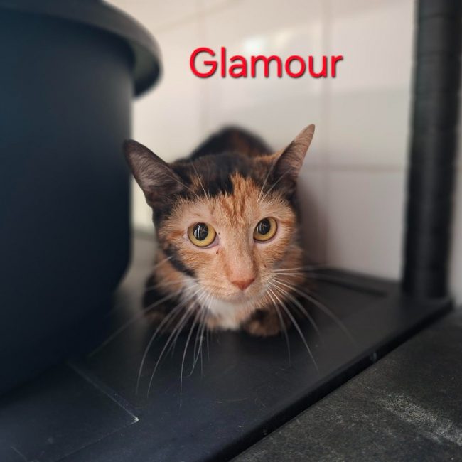 Glamour