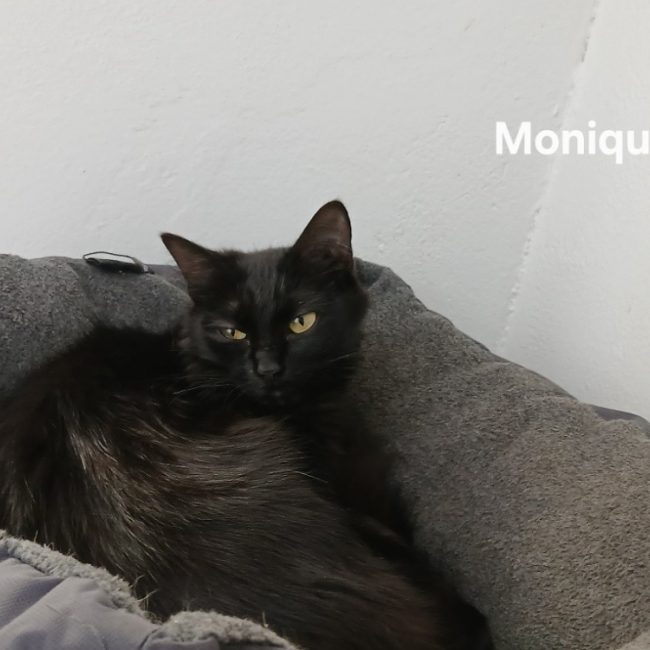 Monique