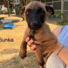 Sunka