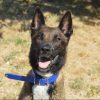 Ares