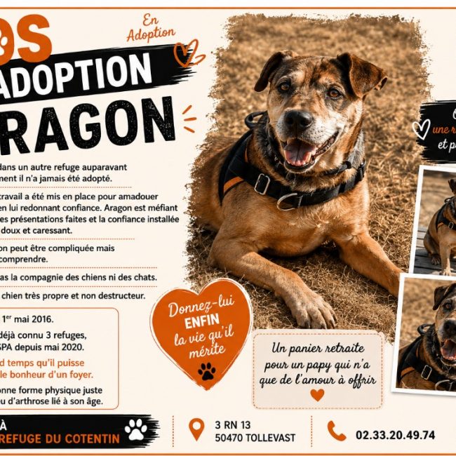 Aragon