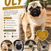 Uly