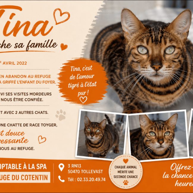 Tina