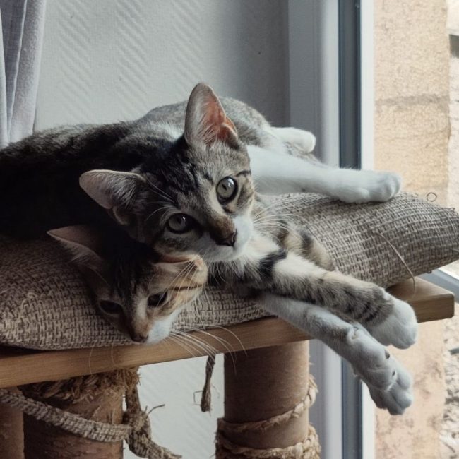 Marie et Lacy