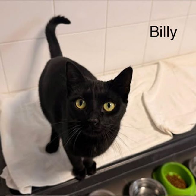 Billy