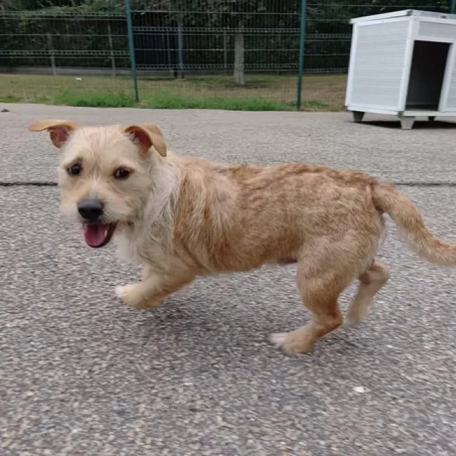 Sam