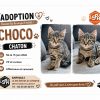 Choco