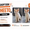 Cheeto