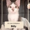 BILLY