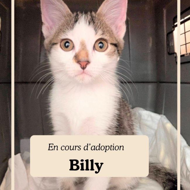 BILLY