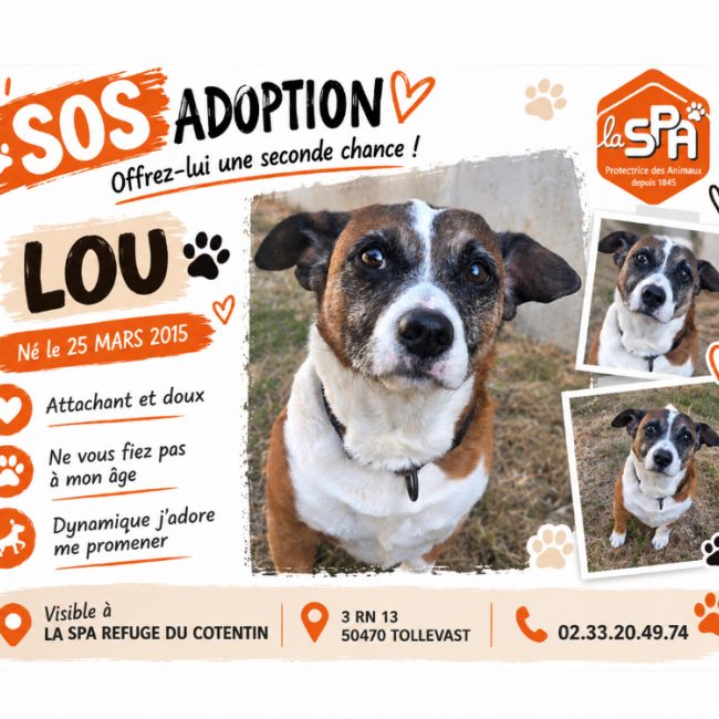 Lou