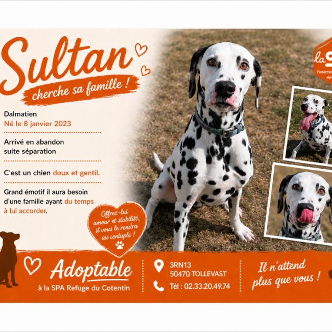 Sultan