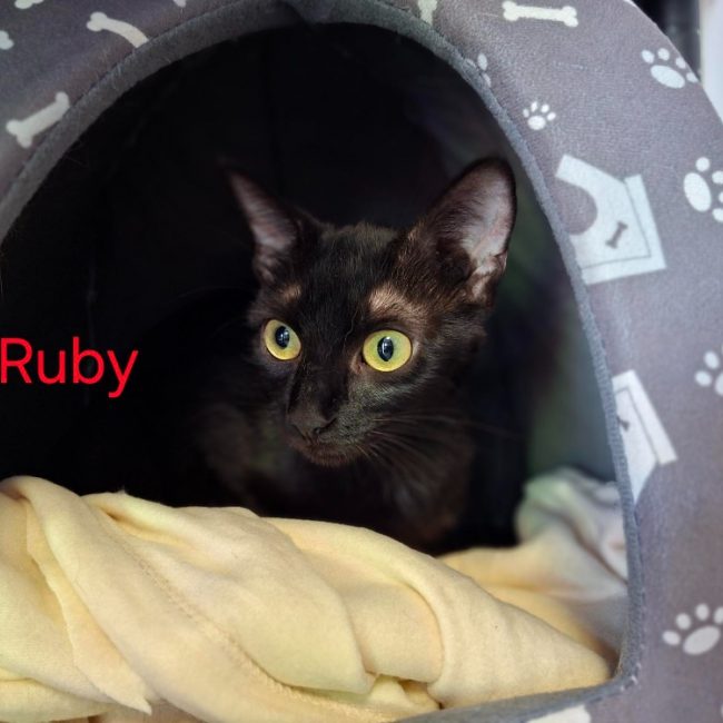 Ruby