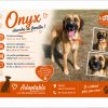 Onyx