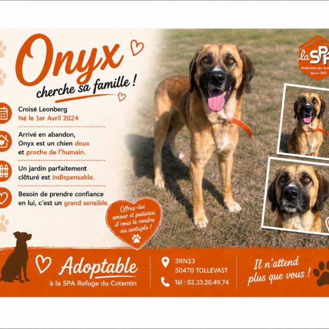 Onyx