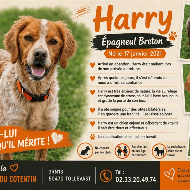 Harry