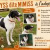 Mimiss