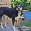 rania et fredi