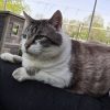 Tobby